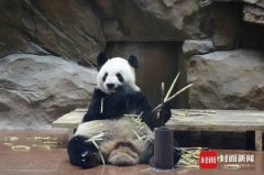 澳门银河赌场_澳门银河网址_澳门银河网站_活跃游客旅游氛围